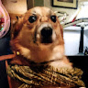 Meet your Posher, Eden